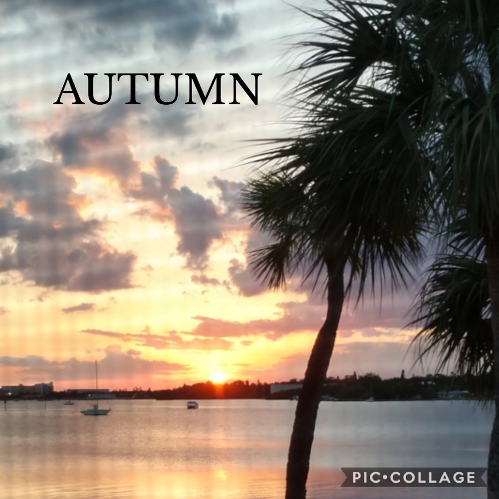 AUTUMN & THANKSGIVING DECOR & GIFTS - Picture 1 of 1